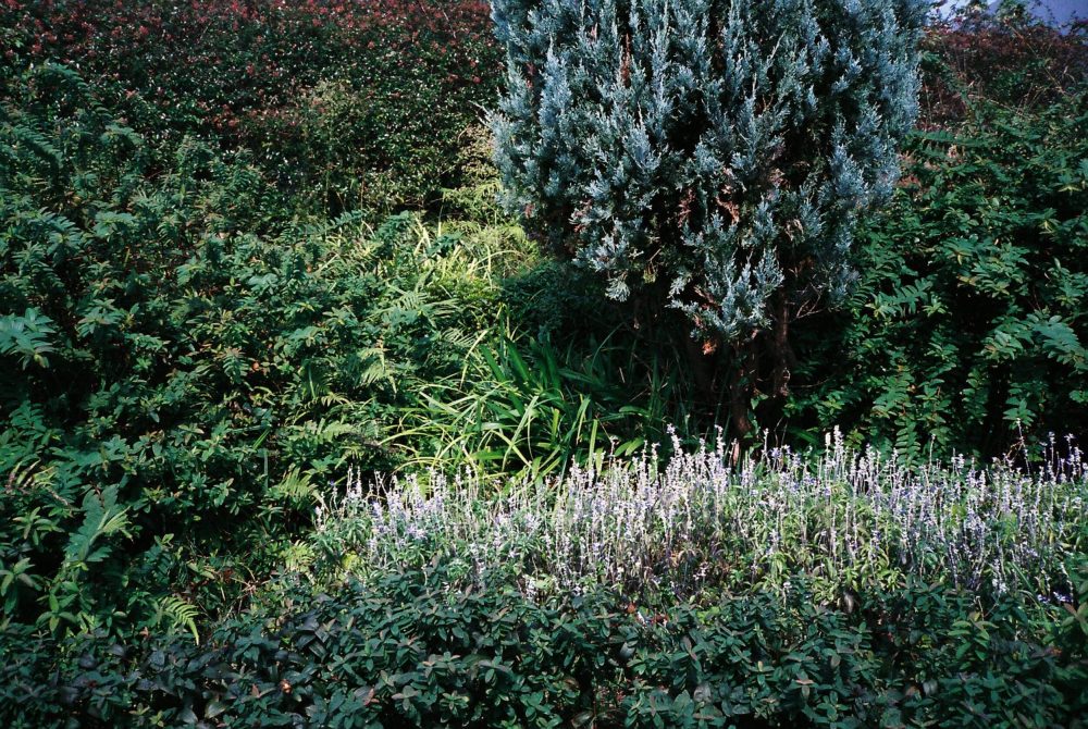 居場所について